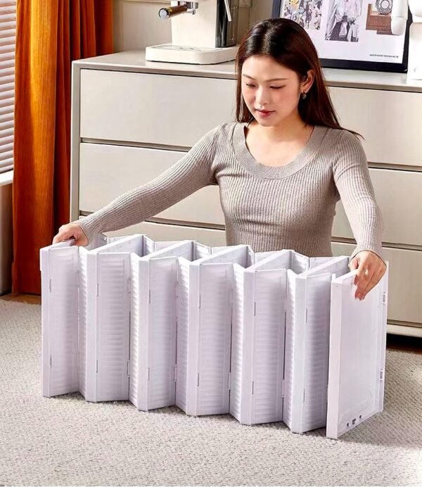 Organizador Para Calzados